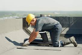 Roof Moss and Algae Removal in Goodland, IN